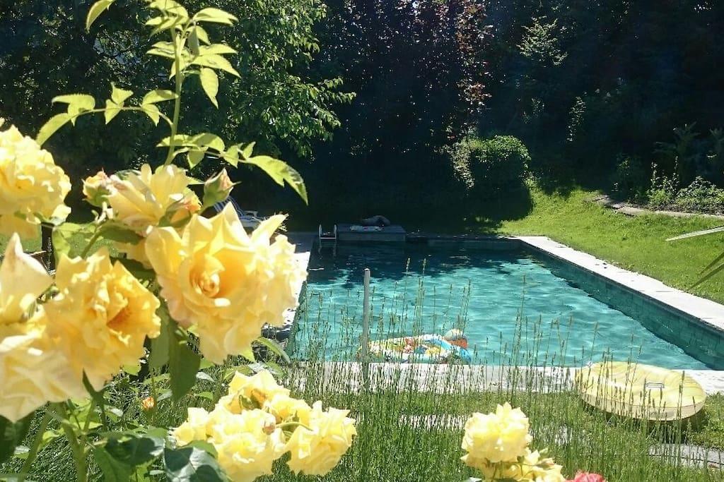 Nice Apartment In Horgen Near Lake And Pool Exterior photo