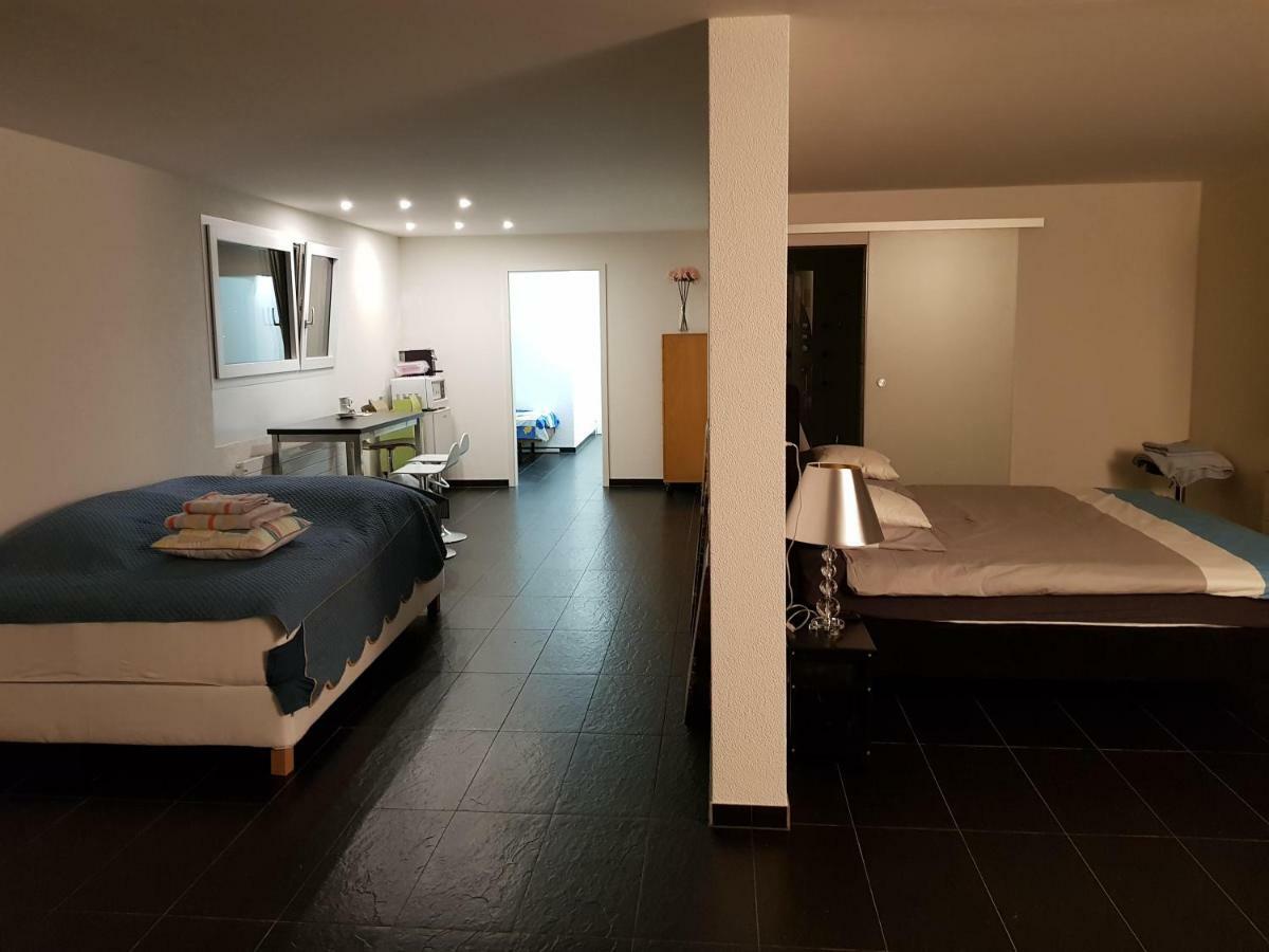 Nice Apartment In Horgen Near Lake And Pool Exterior photo